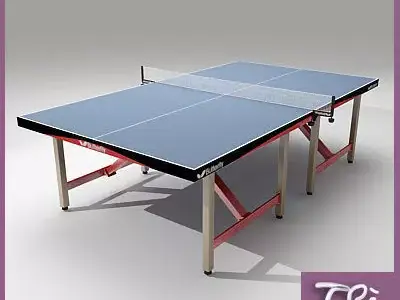 PING PONG TABLE BUTTERFLY FIXED 3D model