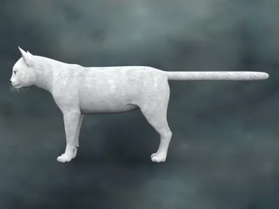CATS-003 Rigged Cat 3D model
