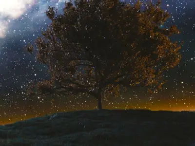 Tree at night Free 3D model