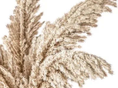 Bathroom Accessories 12 3D model