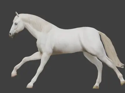  3D Model Running White Horse Low-poly 3D model