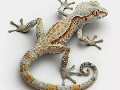 Realistic Leopard Gecko HighDetail Reptile Natural Patterns Low-poly 3D model