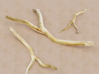 Wooden Stick - Single 3d Dry Low Poly and Game Ready Low-poly 3D model