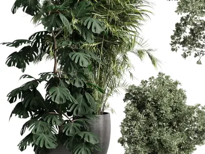 indoor plant set 452 plant bush monstera tree vase dirty  3D model