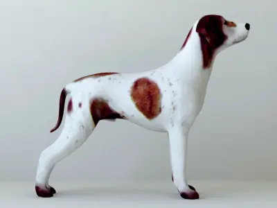 Dogs full body Low-poly 3D model