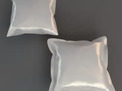Pillows pair of shells 3D model