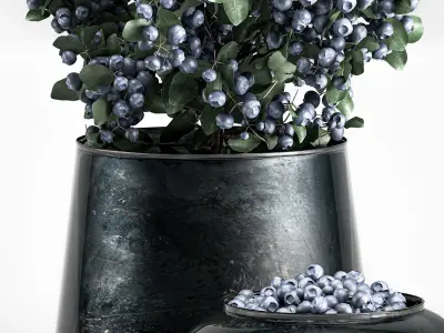 blueberry tree in Pots and bowl with berries 3D model
