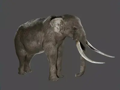 Elephant with long tusks Low-poly 3D model