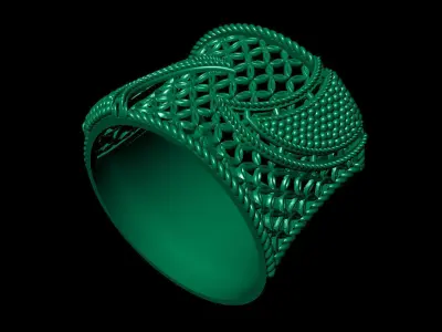 Women Ring 33 beautiful lady ring band for women 3D print model
