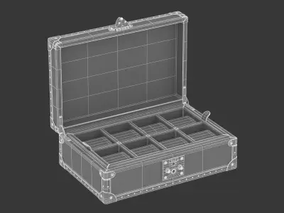 Luxury Vintage Watch Box Worn 3D model