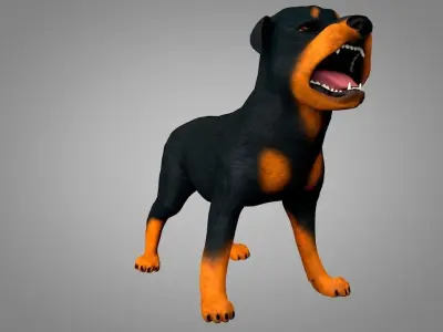 Dog Rottweiler Low-poly 3D model
