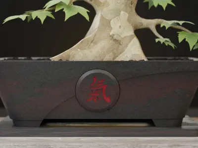 Bonsai Bowl Chi 3D print model