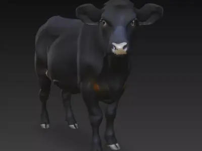 Angus Cow 3d Model Low-poly 3D model