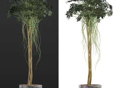 Plants Collection 90 3D model