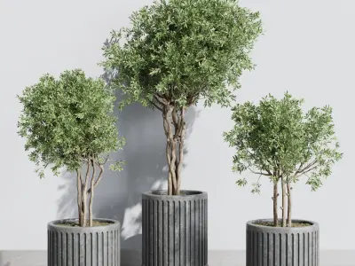  indoor outdoor plant 329 plant tree vase dirty concrete Low-poly 3D model