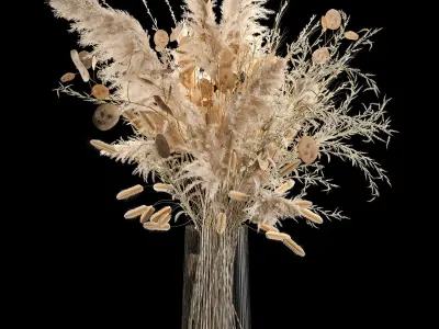 Set Of Bouquets Of Dried Flowers And Pampas Grass 280 3D model