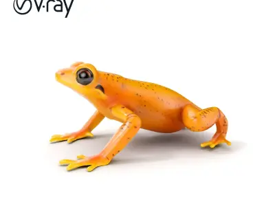 Vibrant Orange Frog Model Pack Low-poly 3D model