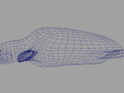 Tortoise 3d model sea turtle 3D model