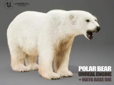 Polar Bear Rig UNREAL project  Maya base rig 3D model