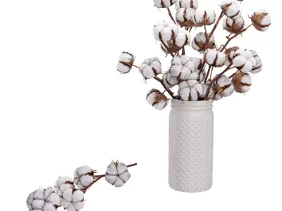 Cotton Plant 3D model