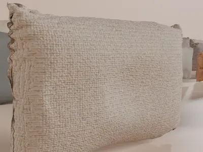 Cushion Pack  30 more Realistic Sofa e Chair Pillows Fabric 3D model