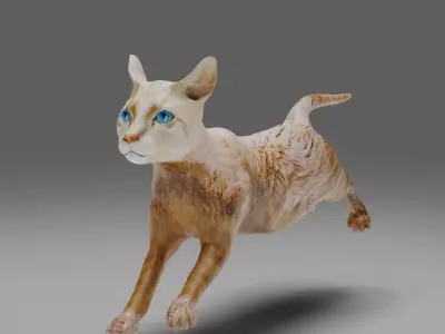 Cat White Rigged and Animated Low-poly 3D model
