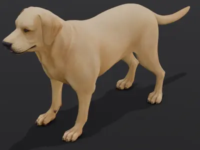Dog Animated and Rigged Low-poly 3D model