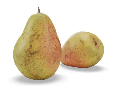 Bartlett Pears 3D model