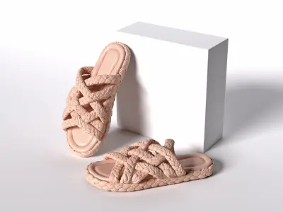 Braided Sliders 3D model