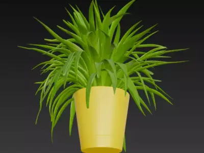 spider plant pot 3D model