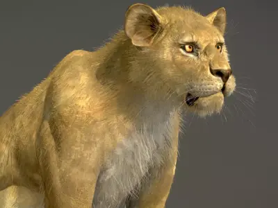 Lion Female 3D model