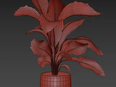 indoor plant 022 3D model