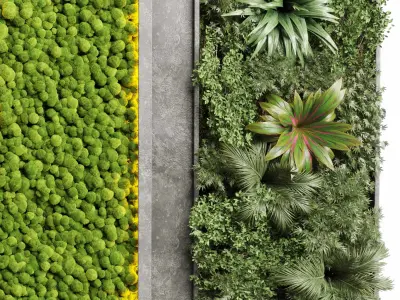 Concrete frame Vertical plant and moss garden wall box 3D model