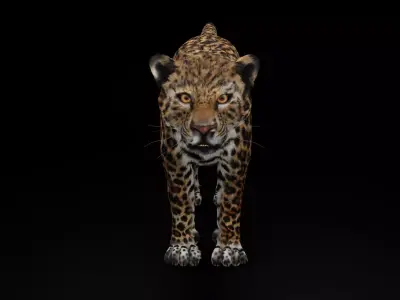 Jaguar  3D model Blender 3D model