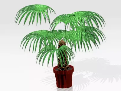 ARECA PALM Low-poly 3D model