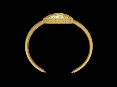 Fusion Gold Wristband RABBW12 3D print model