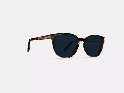 Sydney Sunglasses in Brioche Tortoise 3D model