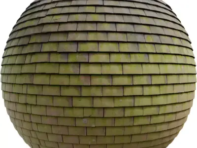 Mossy Clay Shingle Roof  Texture