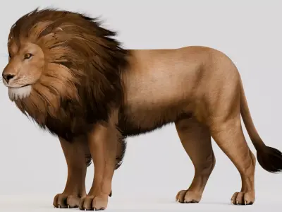 Realistic Animals Savannah - Lion Low-poly 3D model