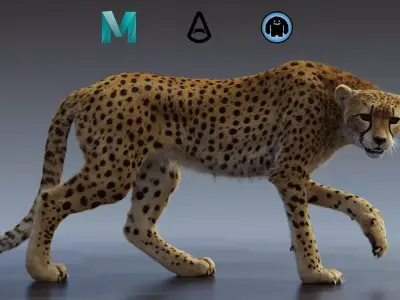 Cheetah Full pack 3D model