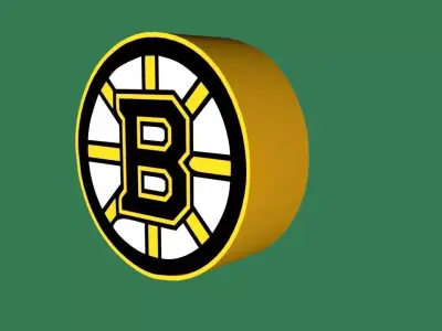 Boston Bruins Team Logo 3D model