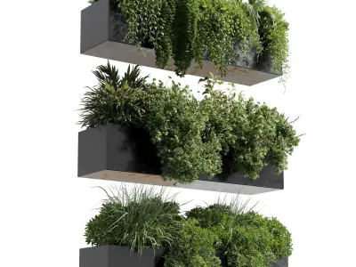 wall plant - hanging plants collection Indoor plant 446  3D model