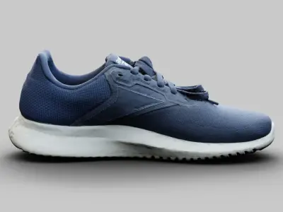 Reebok Flux lite Sports Shoes Hyper Realistic High and Low poly Low-poly 3D model