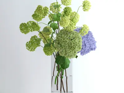 Hydrangeas and Viburnum  3D model