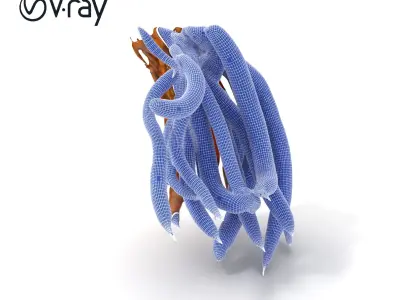 Realistic Snake Model Pack with Detailed Texturing Low-poly 3D model