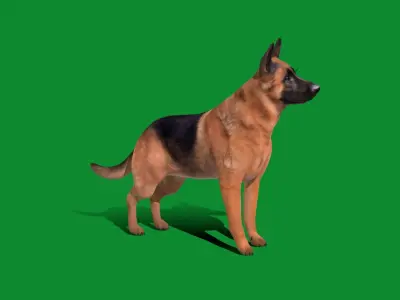 King Shepherd Dog Low-poly 3D model