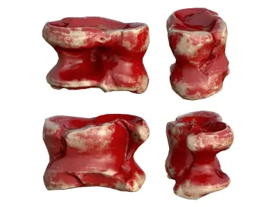 Asyq Red  Bone Low-poly 3D model