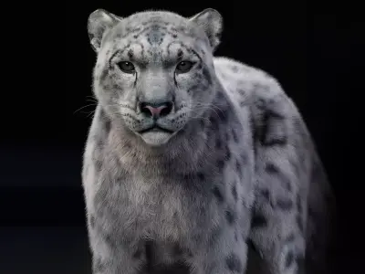 Snow Leopard 3D 3D model