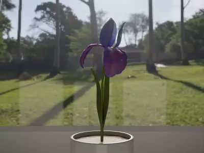 Flower in vase Iris Low-poly 3D model