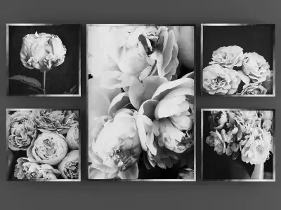 Collection of Paintings 3D model